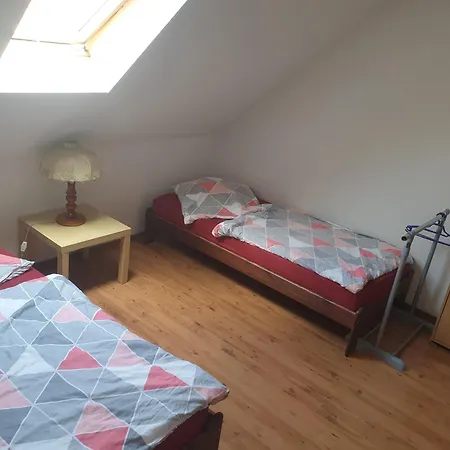 Ferienwohnung Dlugi - Auch Fuer Ihren 4-beiner Apartment Fleissdorf